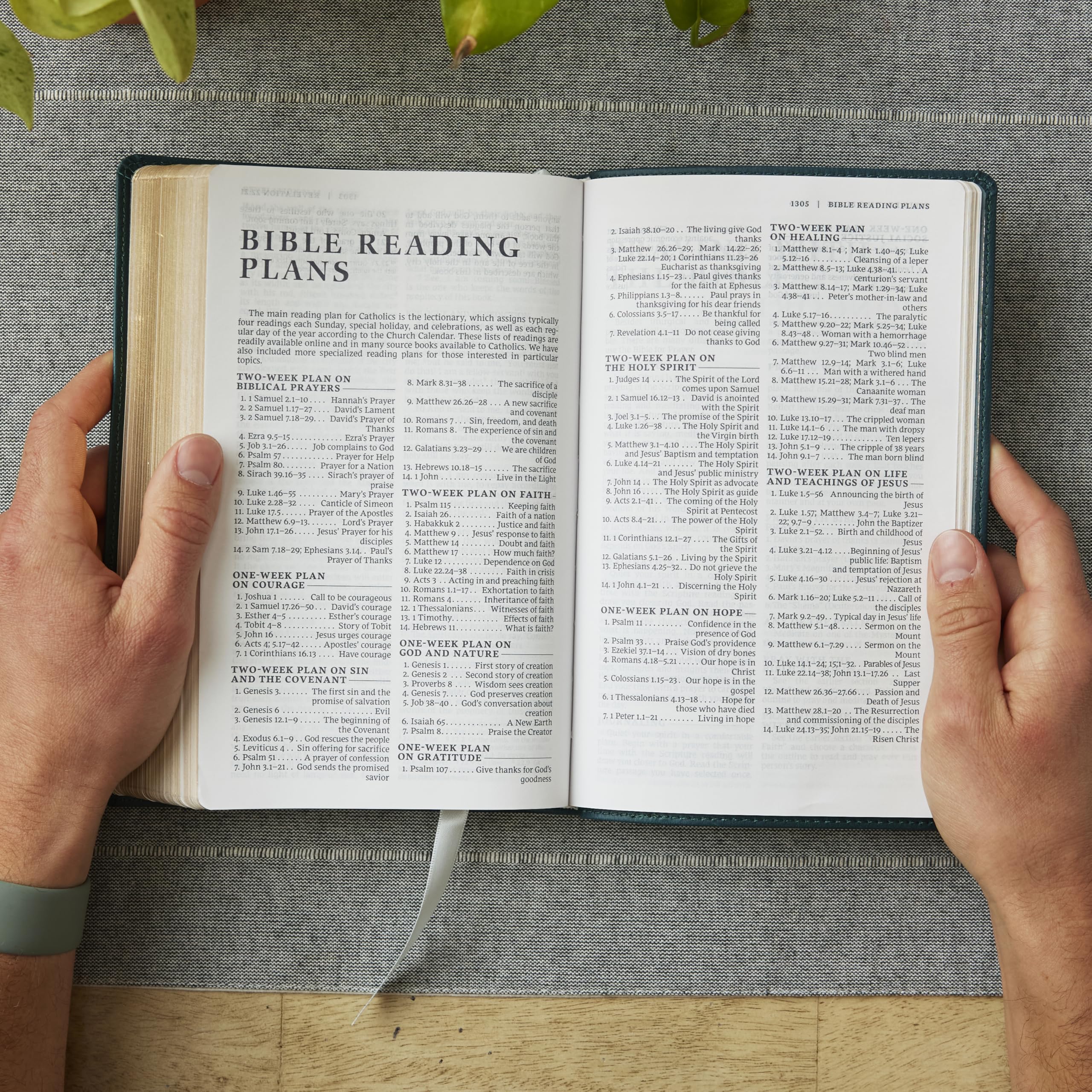 Catholic Bible Press NRSV Catholic Bible, Gift Edition - Leathersoft Brown, Comfort Print 7