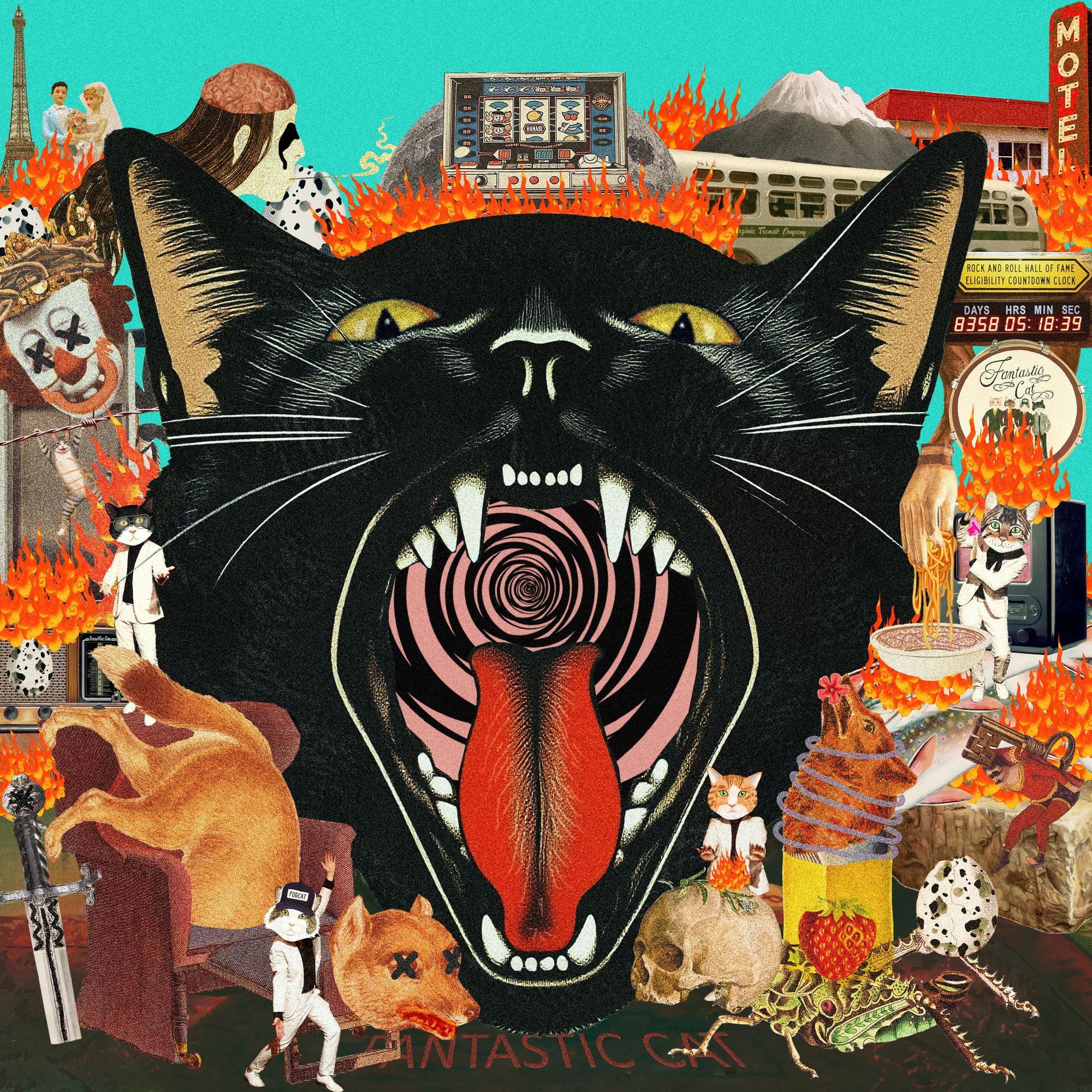 Fantastic Cat - Cat Out of Hell [Vinyl]