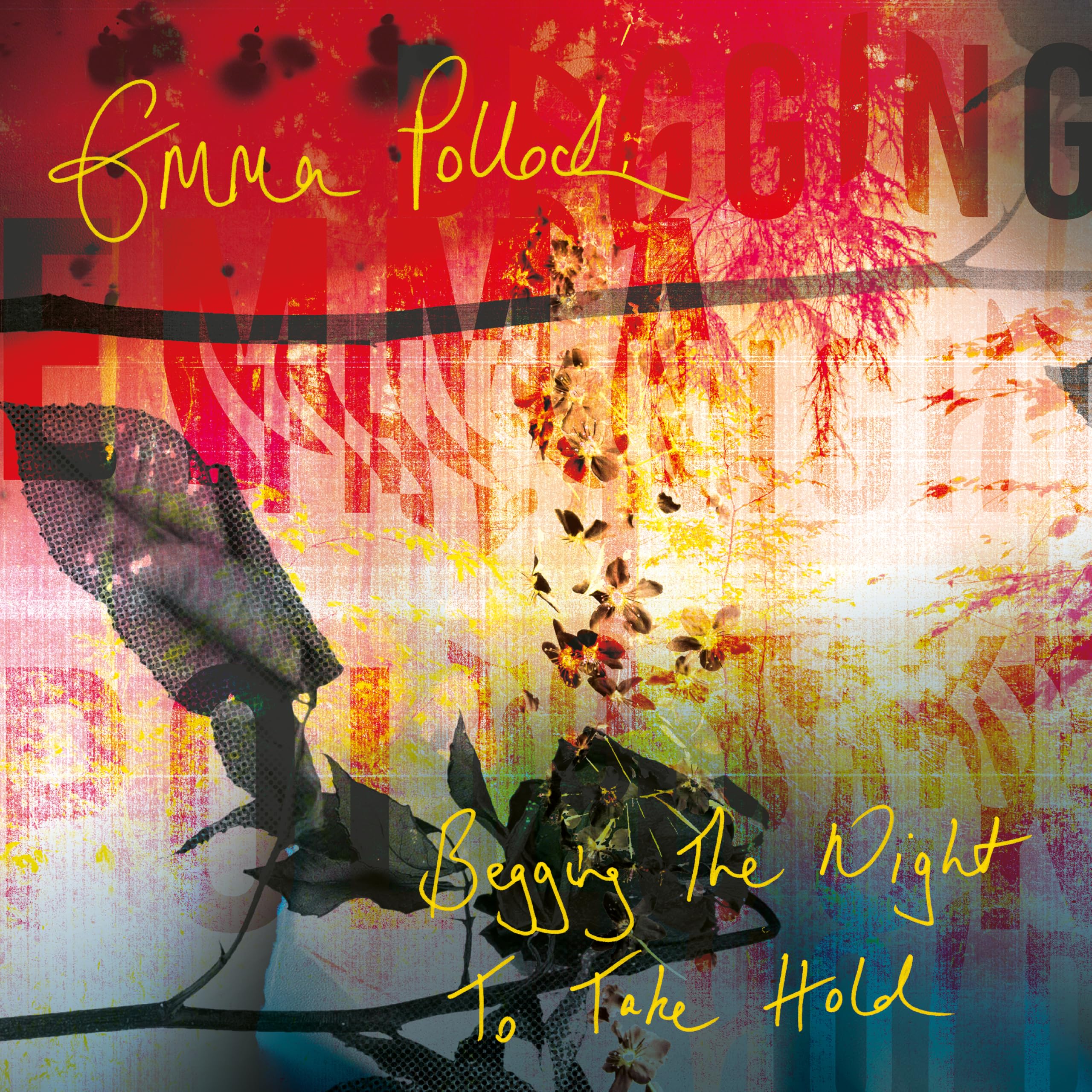 Emma Pollock - Begging the Night to Take Hold [Audio CD] 1