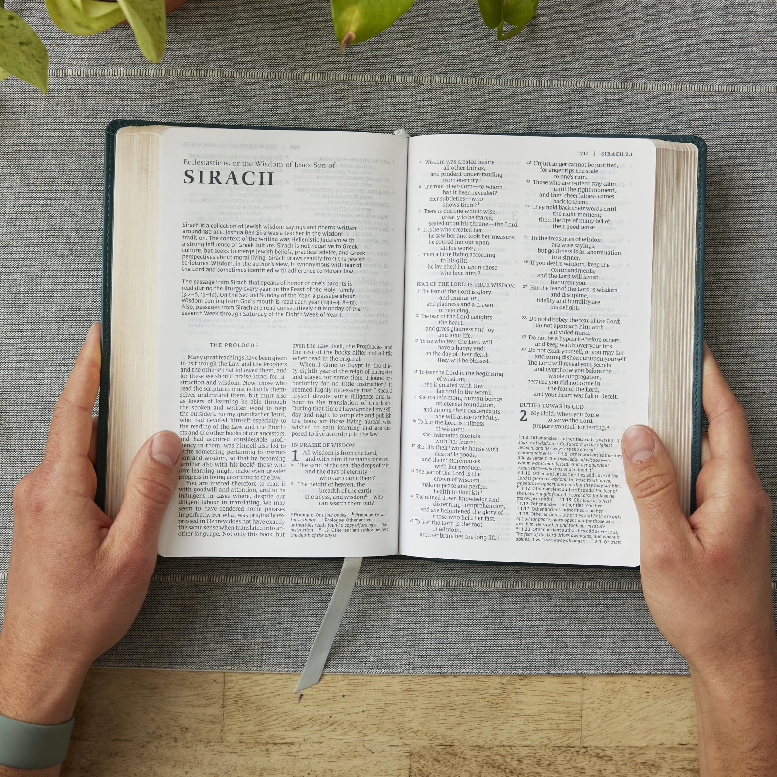 Catholic Bible Press NRSV Catholic Bible, Gift Edition - Leathersoft Brown, Comfort Print 4