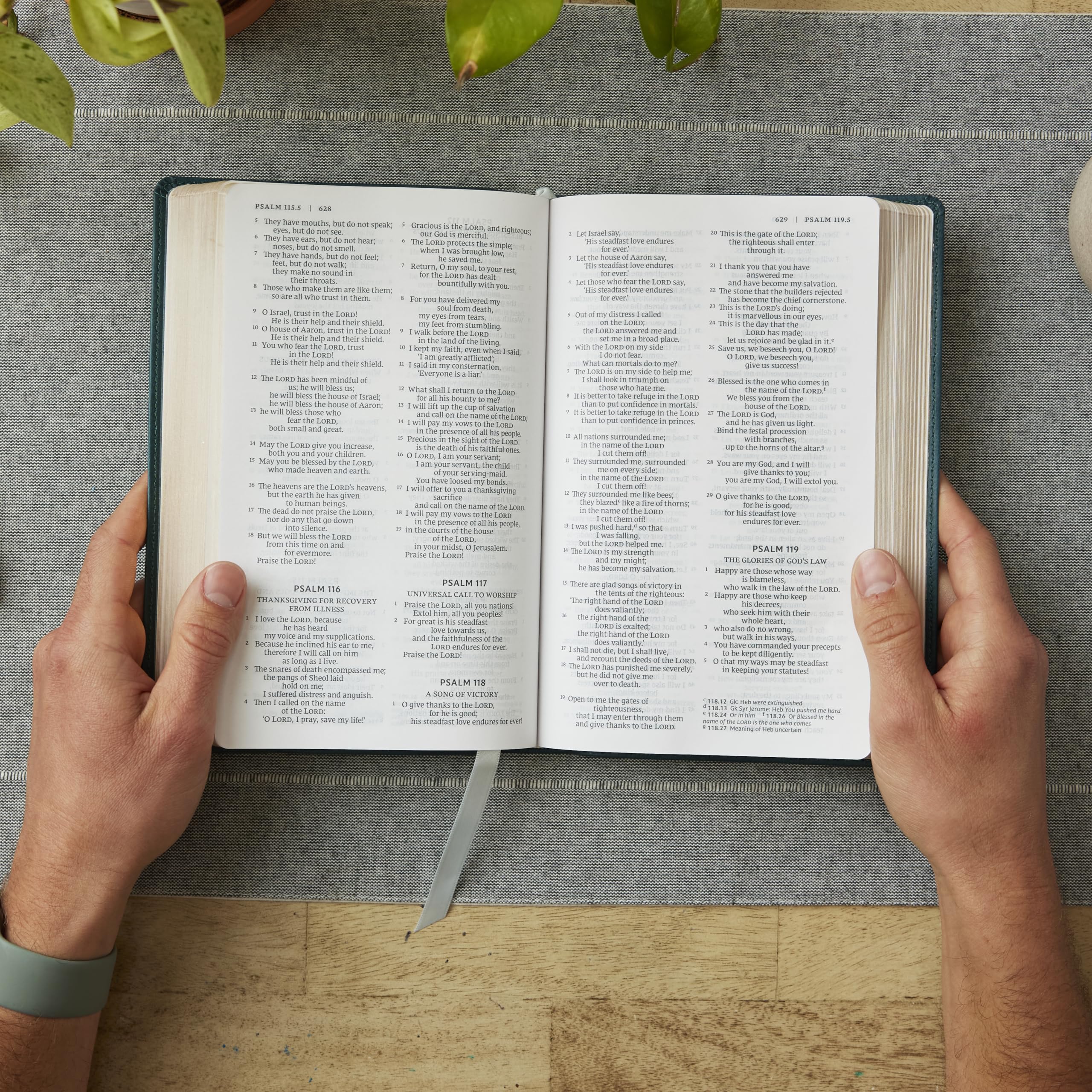 Catholic Bible Press NRSV Catholic Bible, Gift Edition - Leathersoft Brown, Comfort Print