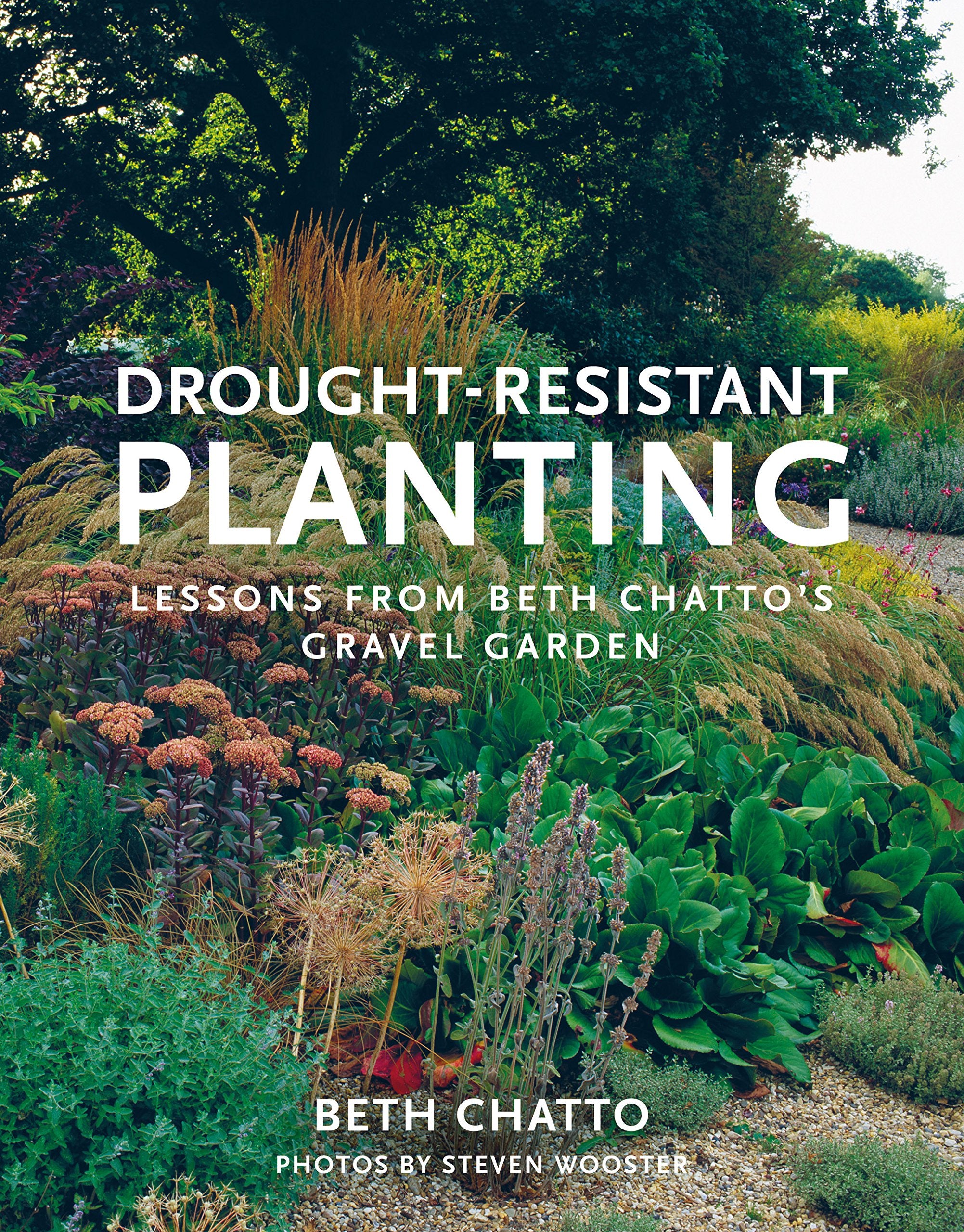 Beth Chatto Drought-Resistant Planting - Illustrated Paperback | 192 Pages | English
