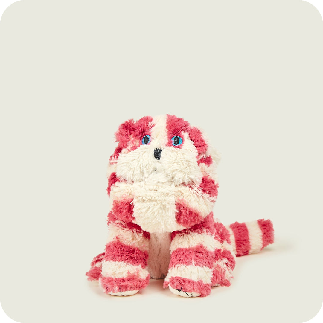 Warmies Bagpuss Cat