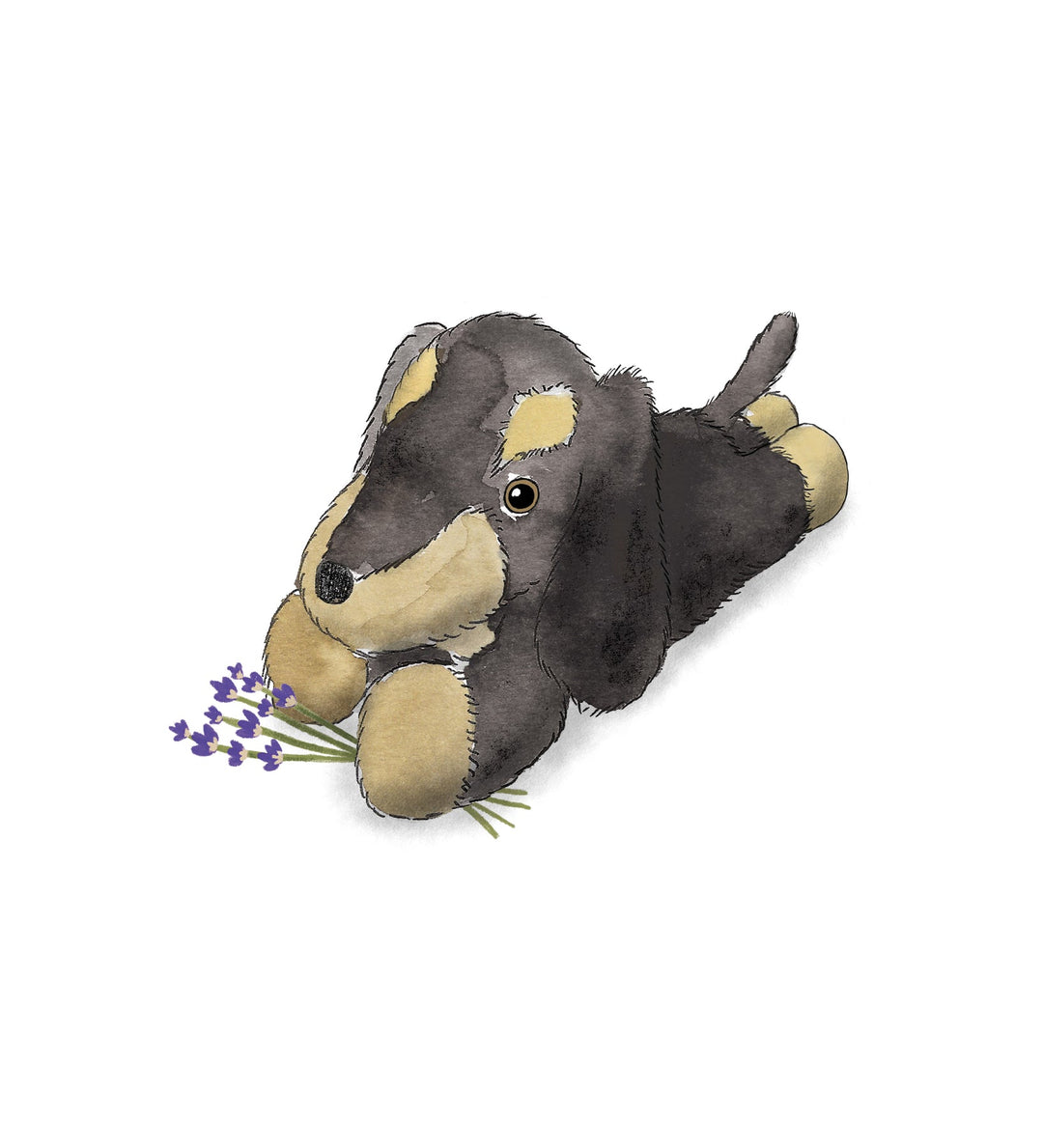 Warmies 13" Dachshund - Fully Heatable Cuddly Toy scented with French Lavender