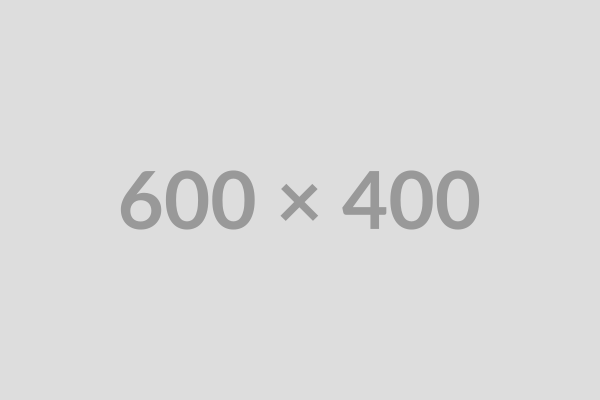 Test Product - Optimization Check