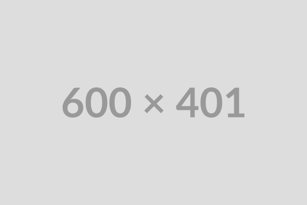 Test Product - Optimization Check