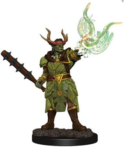 Pathfinder Battles Premium bemalte Figur (W2) Halb-Ork-Druide männlich