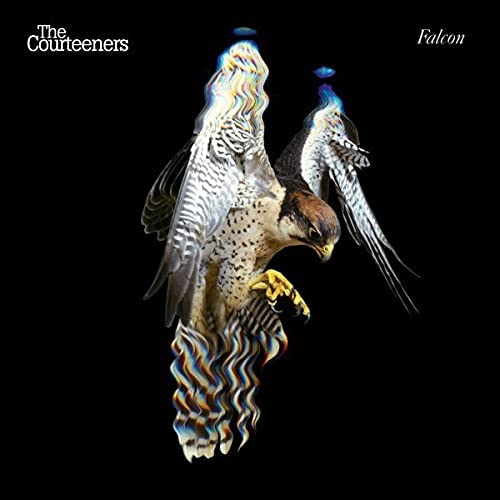 Falcon [Audio-CD]