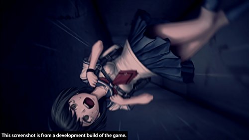 Danganronpa Another Episode: Ultra Despair Girls (PS4)