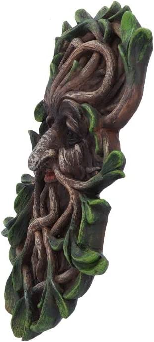 Nemesis Now Tawnya Tree Spirit Wall Plaque, Brown, 28.8cm