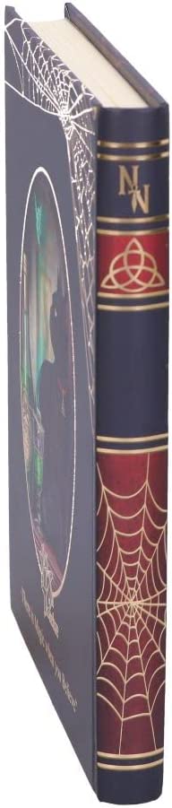 Nemesis Now Lisa Parker Absinthe Journal, Multi Coloured, 17cm