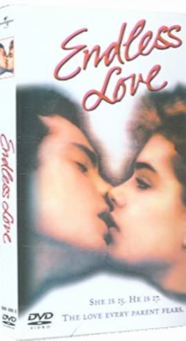 Liebesroman/Drama - Endless Love [DVD]