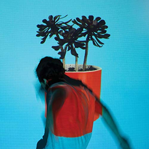 Sunlit Youth - Local Natives  [VINYL]