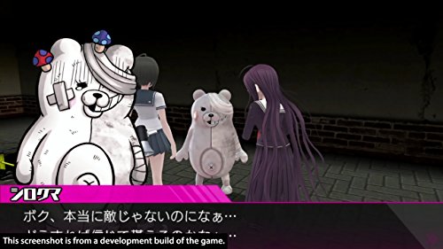 Danganronpa Another Episode: Ultra Despair Girls (PS4)