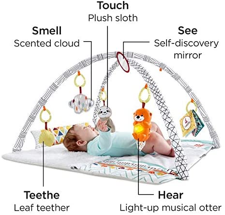 Gymnase de luxe Perfect Sense FXC37 de Fisher Price