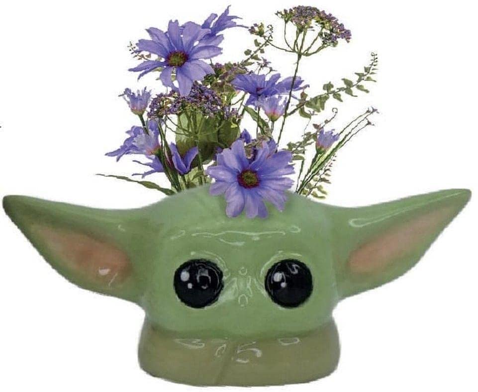 HMB STAR WARS – Das Kind – Pot de Fleur Wandgemälde