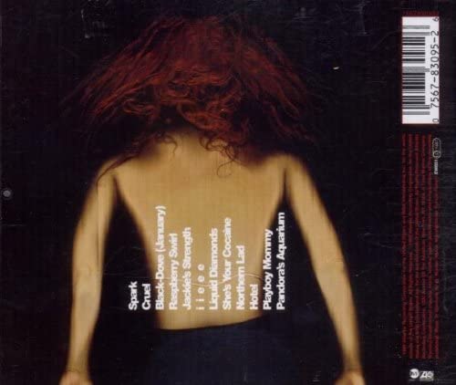 Tori Amos - From the Choir Girl Hotel [Audio CD]