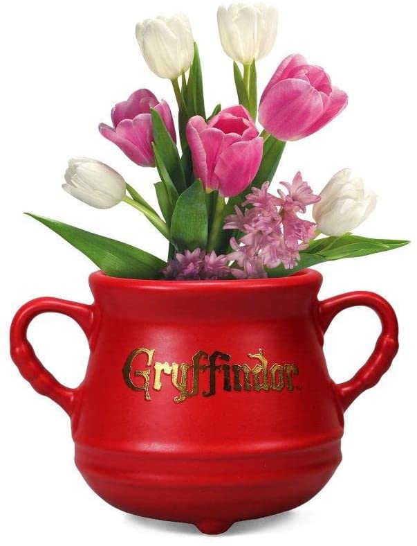 HARRY POTTER – Chaudron Gryffindor – Pot de Fleur Wandgemälde