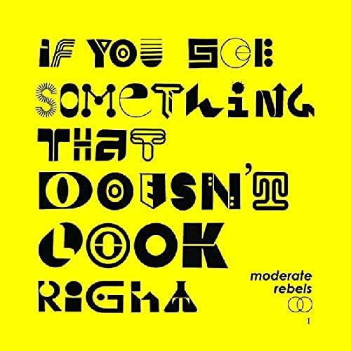 MODERATE REBELS - IF YOU SEE SOMETHING THAT DOESN'T LOOK RIGHT [Vinyl]