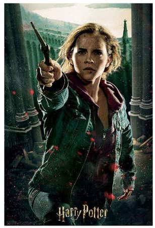 Harry Potter HP33008 300-teiliges Hermine Granger-Puzzle mit 3D-Effekt, mehrfarbig