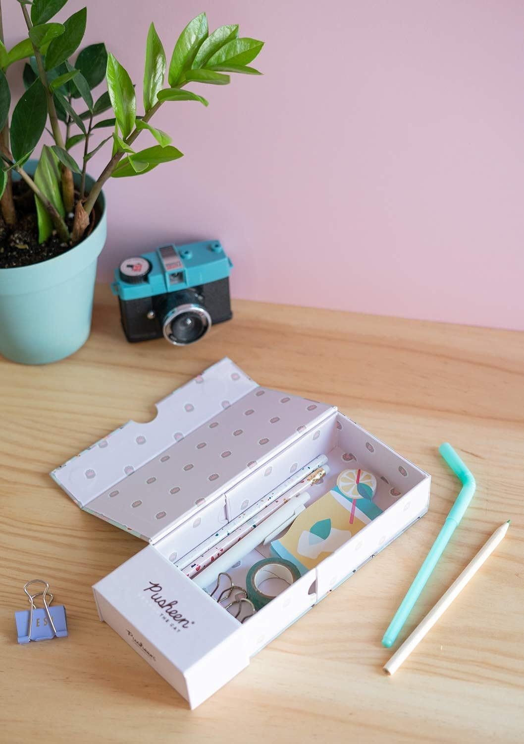 Pusheen Pencil Case, Pen Holder, Phone Stand, Desk Organiser - Foldable Pencil Box