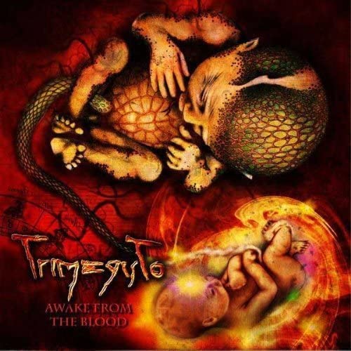 Trimegisto - Awake From Blood [Audio CD]