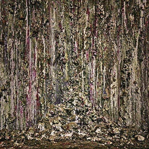 Piss Vortex [VInyl]