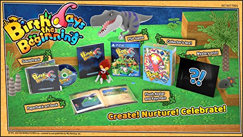 Birthdays the Beginning - Limited Edition (PS4)