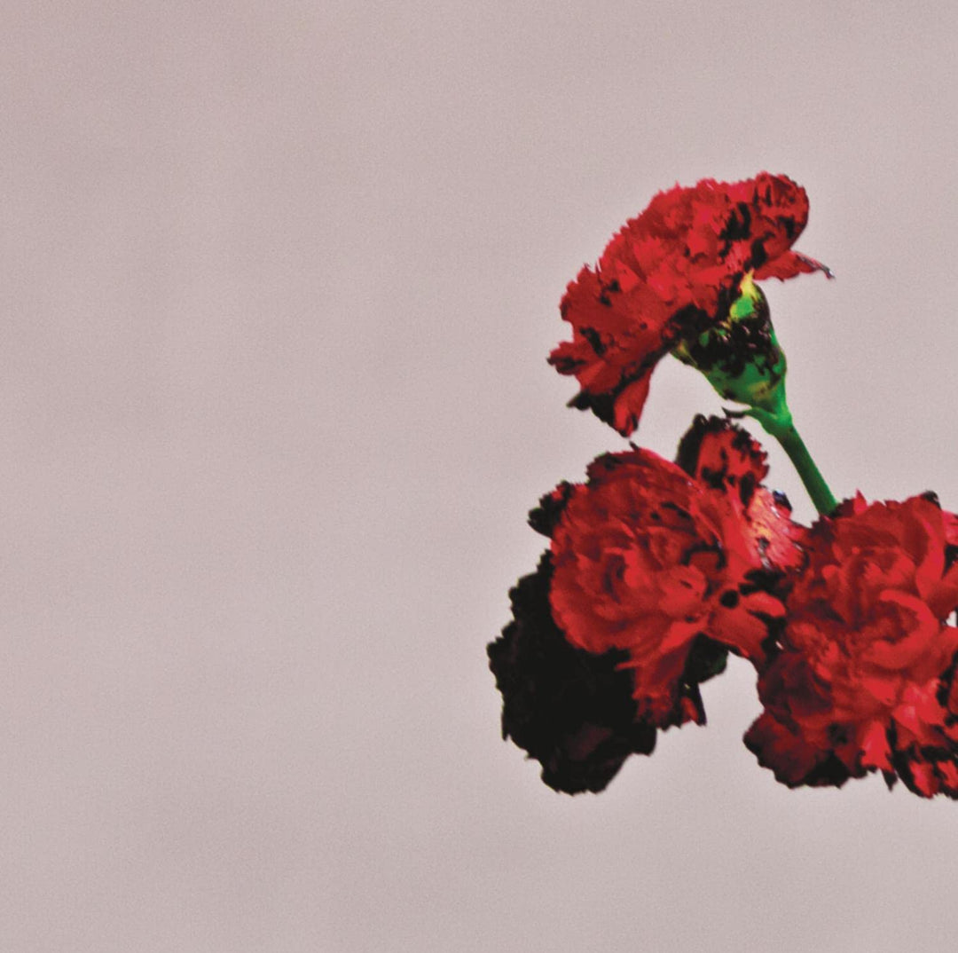 John Legend - Love In The Future [Audio CD]