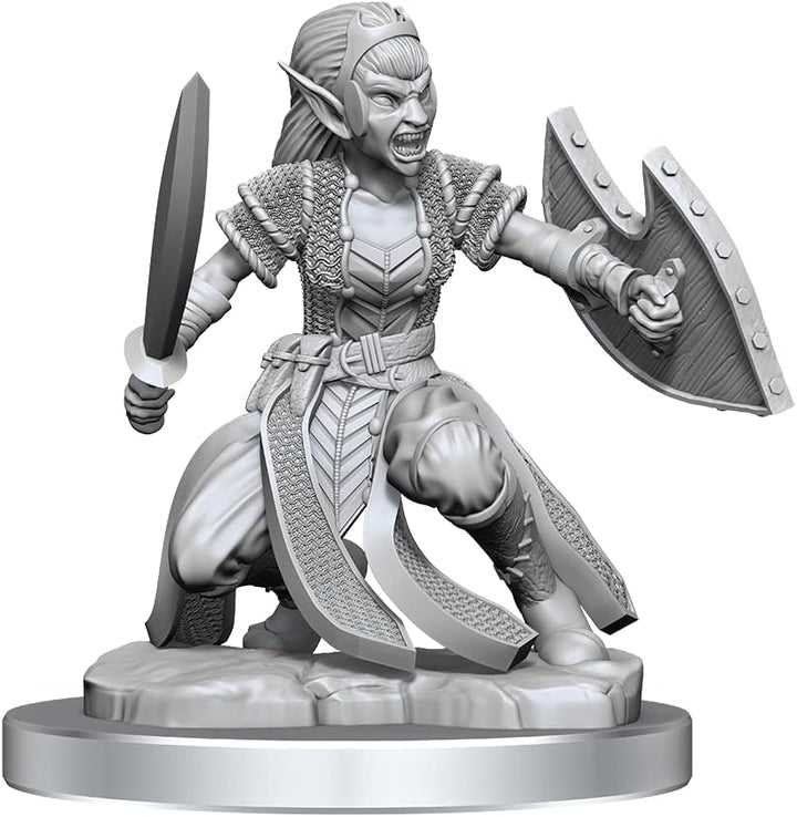 Wizkids D&amp;D Nolzurs Marvelous Shifter Fighter Miniaturen