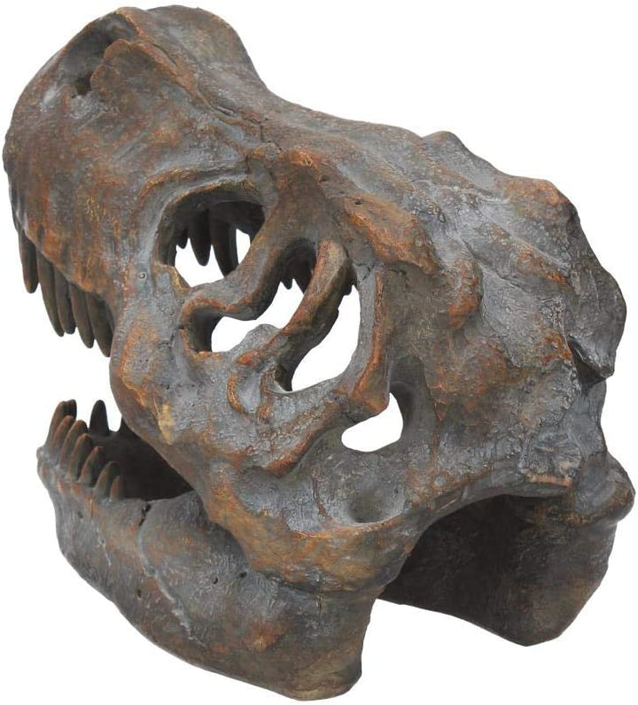 Nemesis Now Tyrannosaurus Rex Skull Freestanding Figurine 18.5cm Grey