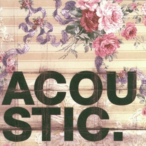 Acoustic Vol.1 [Audio-CD]