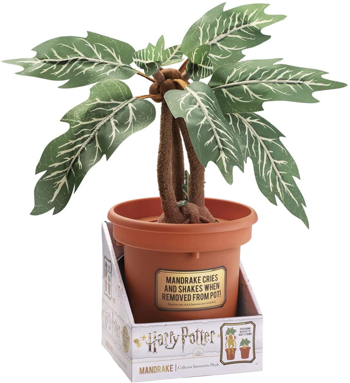 The Noble Collection Harry Potter Mandrake Interaktiver Sammlerplüsch mit Topf – offiziell lizenzierte 14 Zoll (35 cm) elektronische Plüschtierpuppen als Geschenke