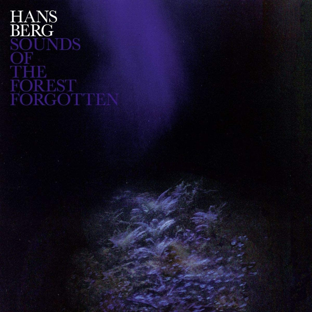 HANS BERG - SOUNDS OF THE FOREST FORGOTTEN [Vinyl]