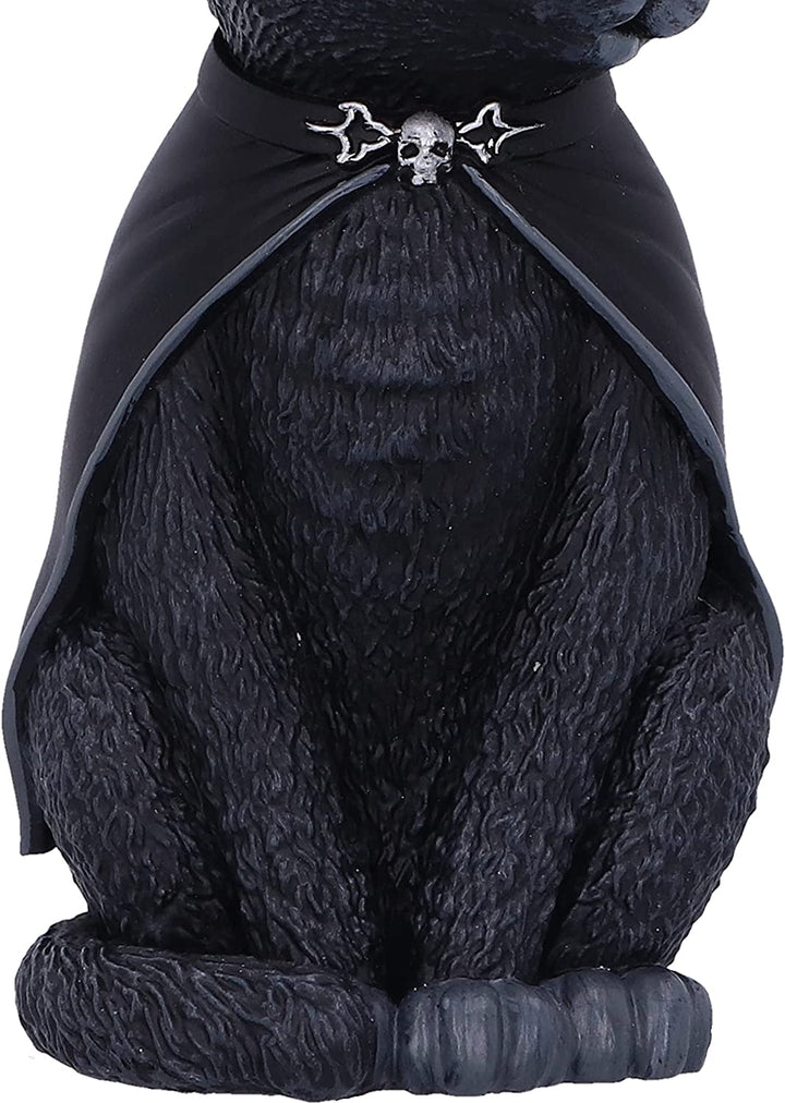Nemesis Now Purrah Black Witch Cat Hanging Decorative Ornament 11.5cm
