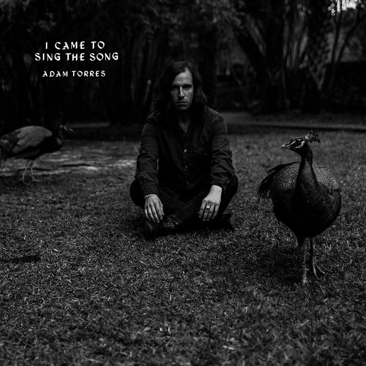 Adam Torres - I Came To Sing the Song [Audio CD]