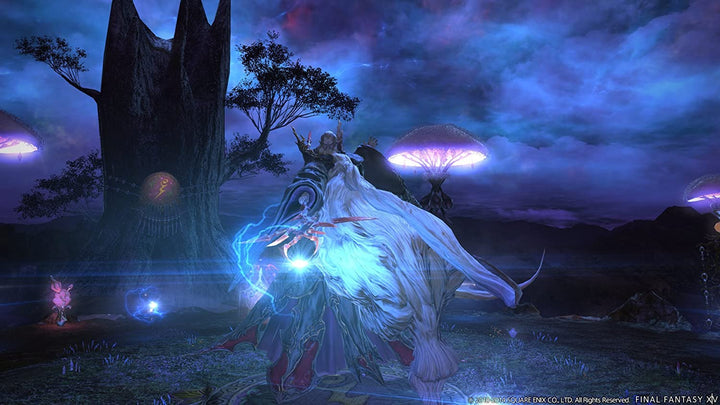 Final Fantasy XIV Online Starter Edition - PS4