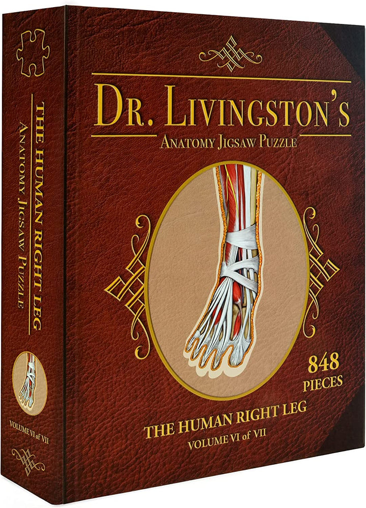 Dr Livingston's Anatomy Jigsaw Puzzle: Volume IV - The Human Right Leg