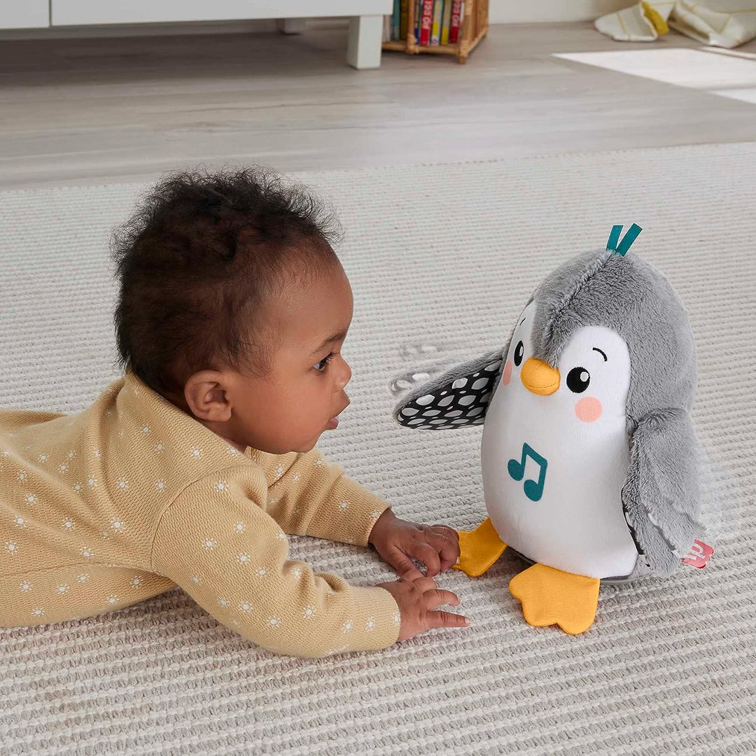 Fisher-Price Flap &amp; Wabble Pinguin-Spielzeug