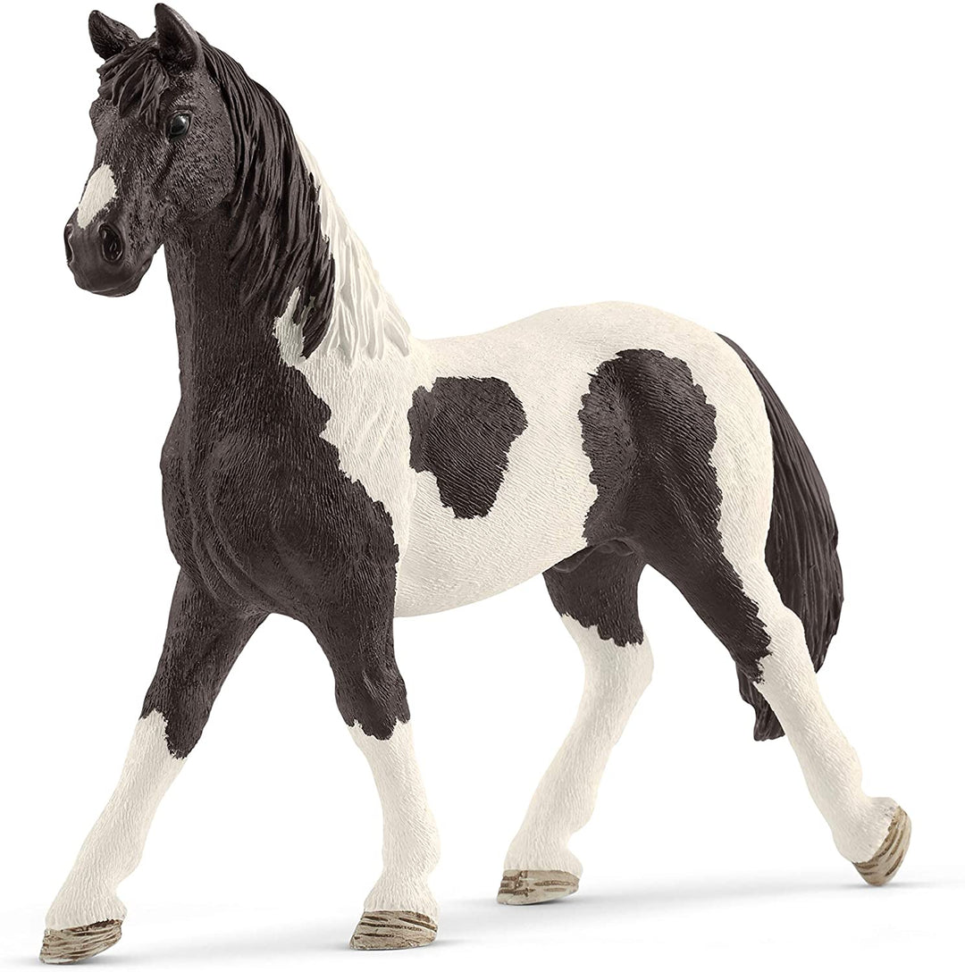 Schleich 42519 Rider Caf