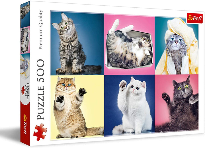 Trefl 37377 Puzzle Game è composto da 500 pezzi di alta qualità