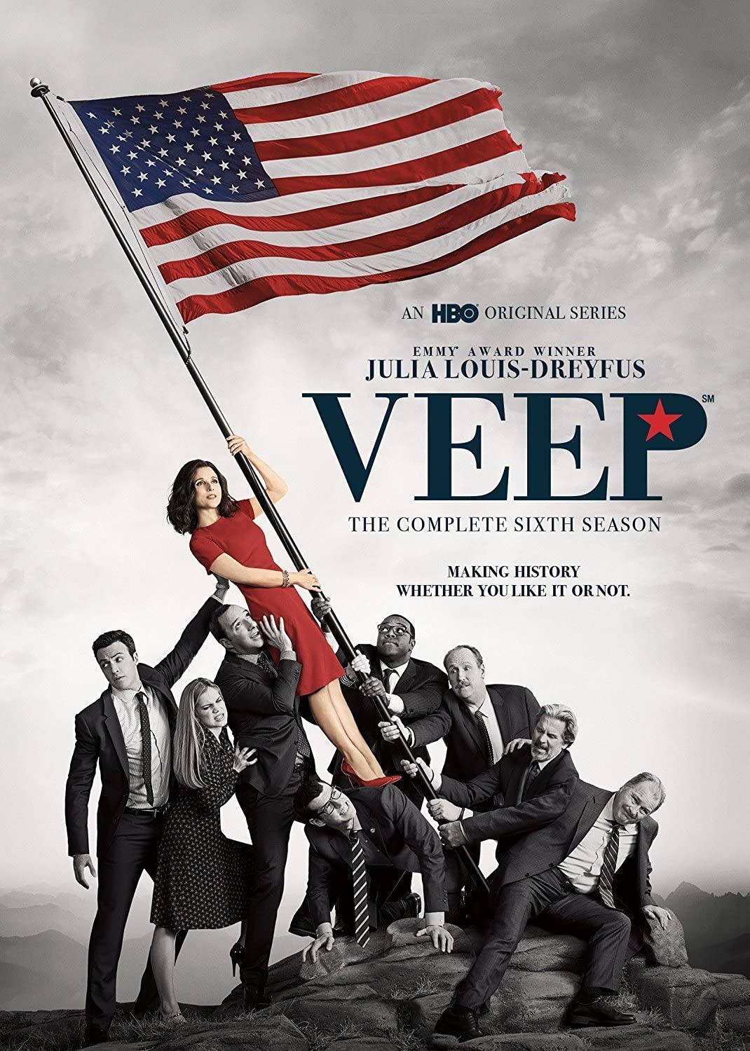 Veep: Season 6 [2017] - Sitcom [DVD]