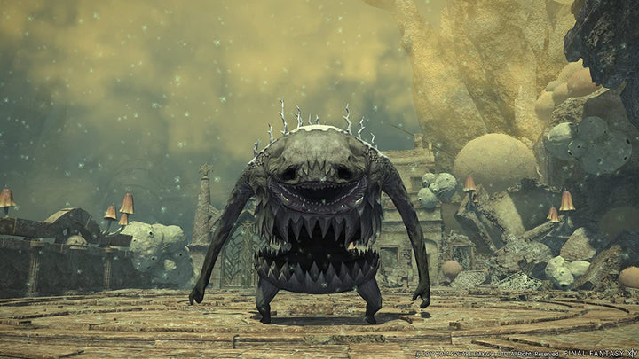 Final Fantasy XIV Online Starter Edition - PS4