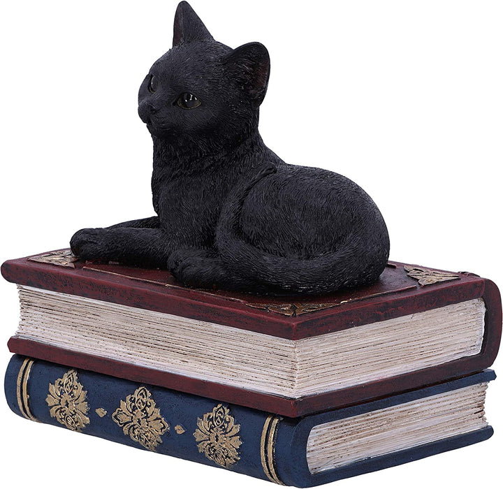 Nemesis Now Salems Spells Witches Familiar Black Cat and Spellbook Box, 11.7cm