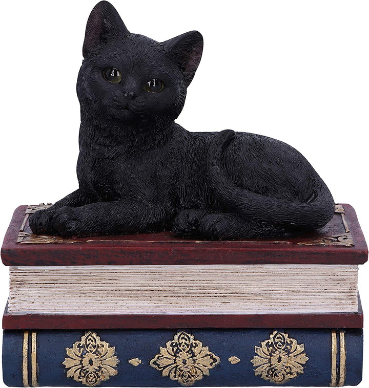 Nemesis Now Salems Spells Witches Familiar Black Cat and Spellbook Box, 11.7cm