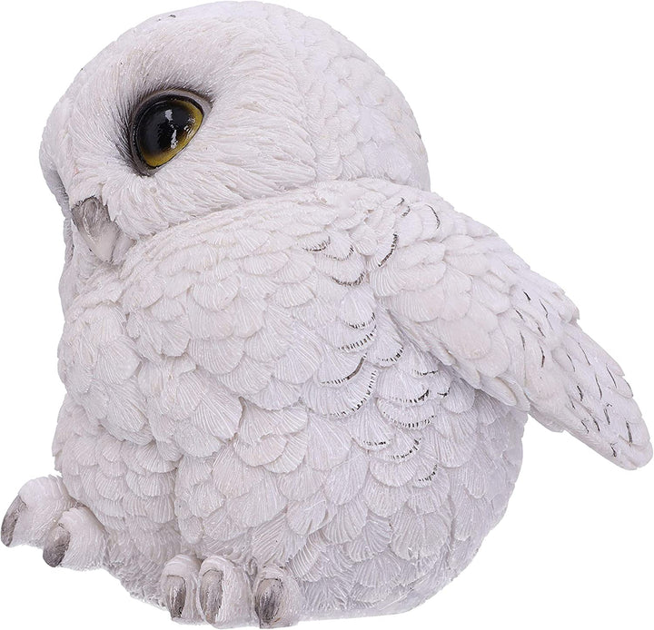 Nemesis Now Feathers Cute Rotund Snowly Owl Figurine, White, 12.5cm (U5473T1)