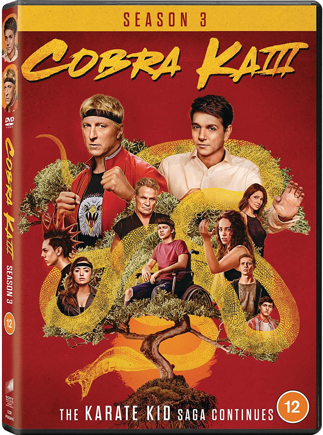 Action fiction - Cobra Kai - Seasons 03 [DVD] [2021]