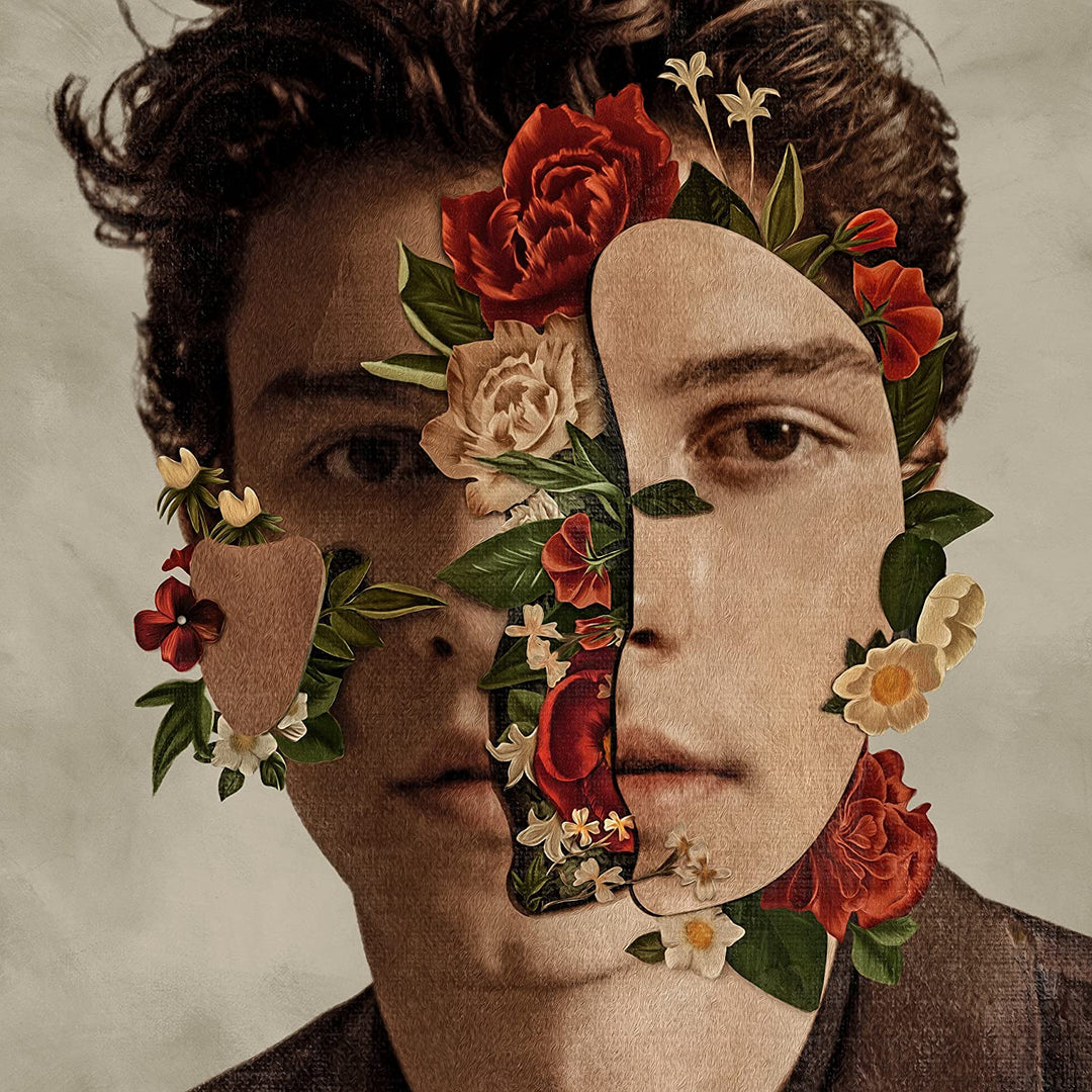 Shawn Mendes: The Album