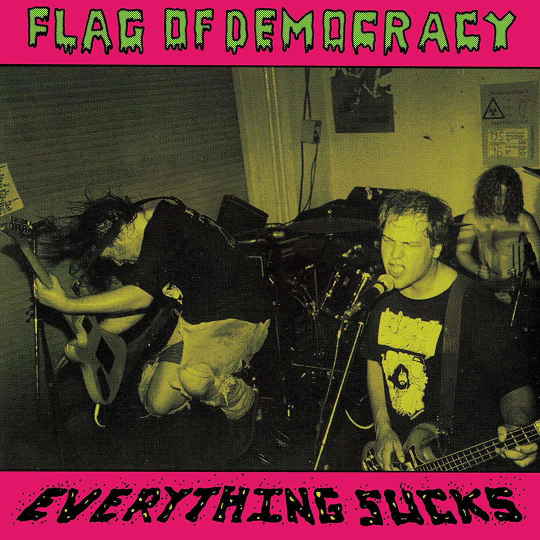 Flag Of Democracy - Everything Sucks [VInyl]