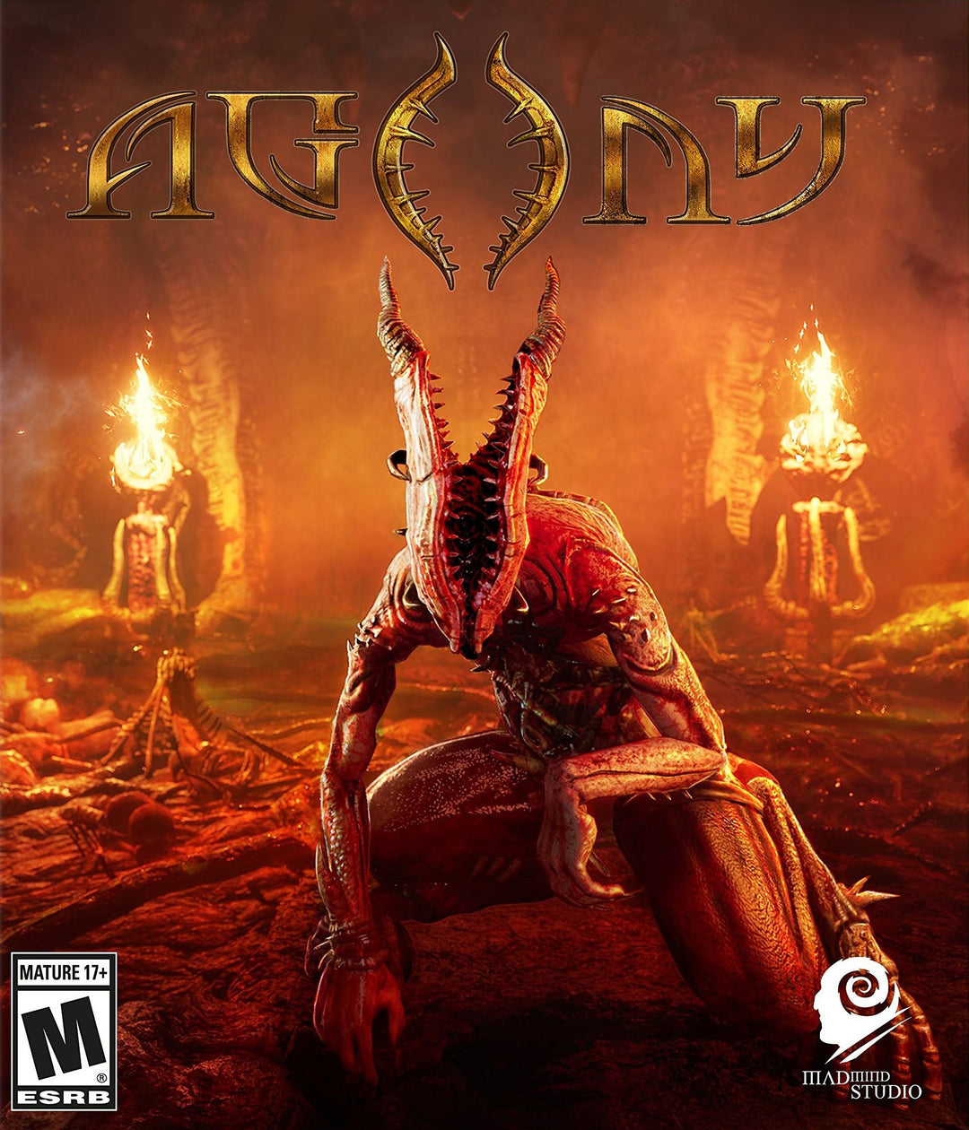 Agony (PC DVD) PC DVD